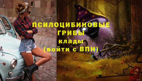 apvp Армянск
