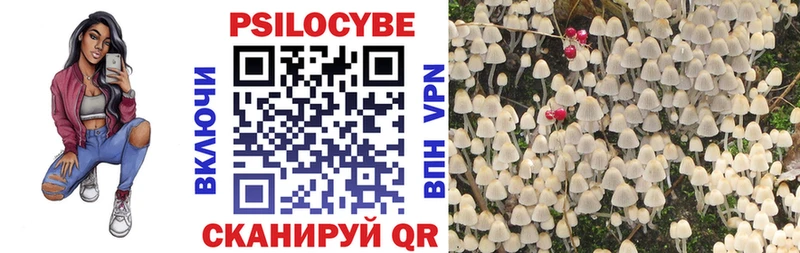 где найти наркотики  площадка официальный сайт  Псилоцибиновые грибы мицелий  Сосновый Бор 